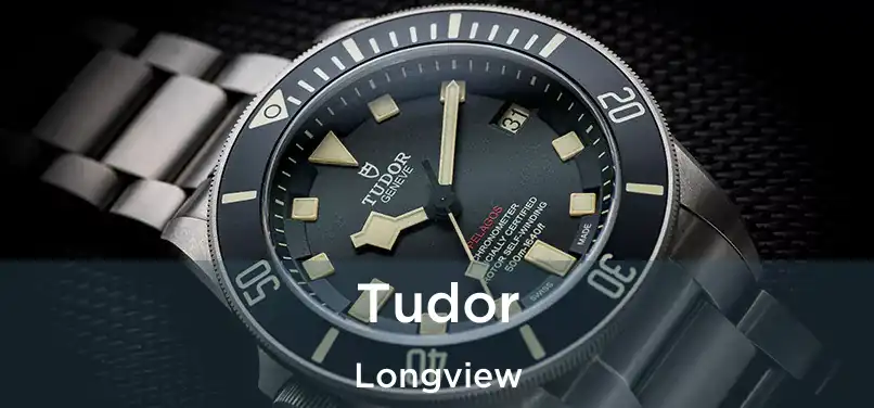 Tudor Longview